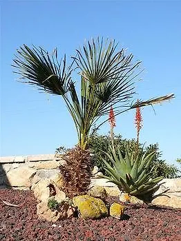 ** Hotel Agriturismo Agave Fertilia Italia