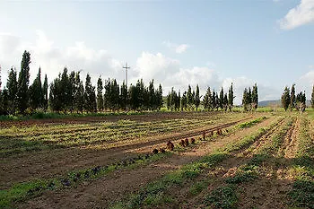 Agriturismo Agave Fertilia