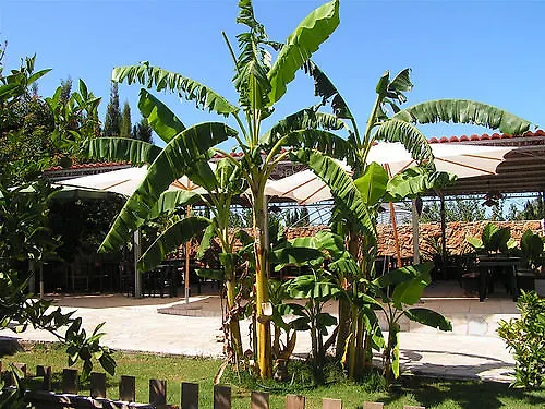 Agriturismo Agave Fertilia